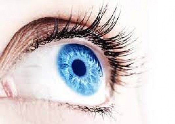 Sağlamlığa dəstək