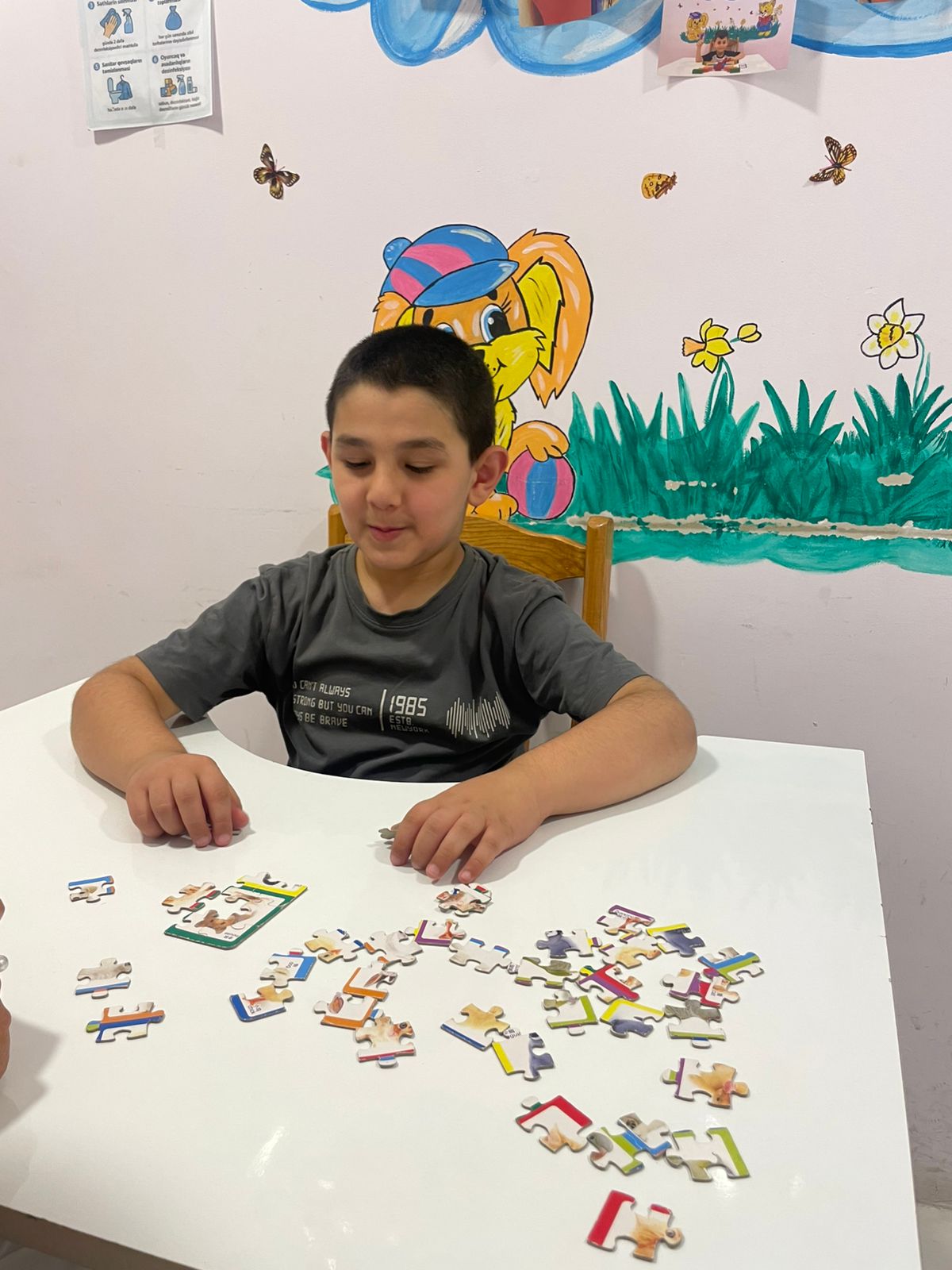 Şəkidə sosial reabilitasiya mərkəzi fəaliyyətə başladı